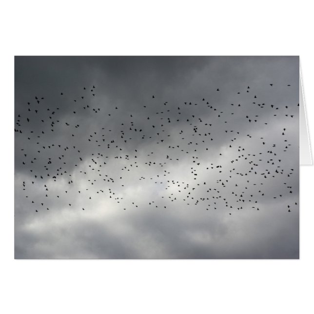 The Flock Card (Front Horizontal)