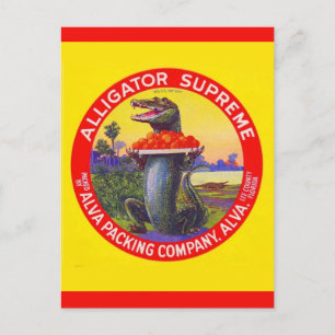 The Florida Alligator Supreme Postcard