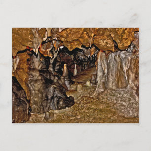 The Florida Caverns I. Postcard