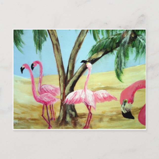 "The Florida Flamingos" Horizonal Postcard (Front)