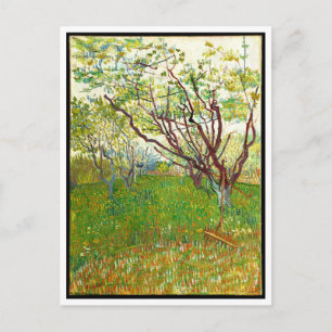 The Flowering Orchard by Vincent Van Gogh (1888) Postcard
