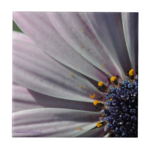 The Flowers Within Ceramic Tile