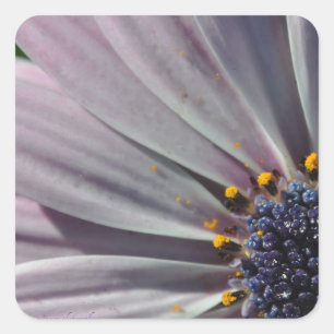 The Flowers Within Square Sticker
