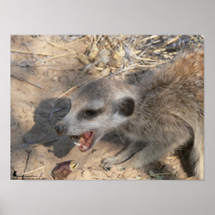 The Fluffernutter Collection - Eating Poster