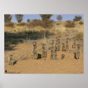 The Fluffernutter Collection - Family Poster