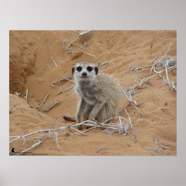 The Fluffernutter Collection - Smiling Poster (Front)