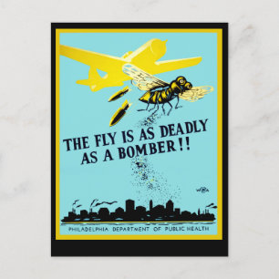 The Fly is as Deadly as a Bomber Postcard