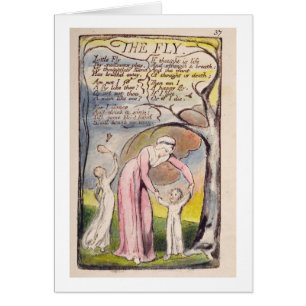 'The Fly', plate 37 from 'Songs of Innocence and o