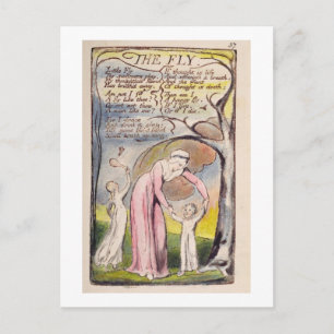 'The Fly', plate 37 from 'Songs of Innocence and o Postcard