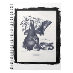 The Flying Fox Notebook