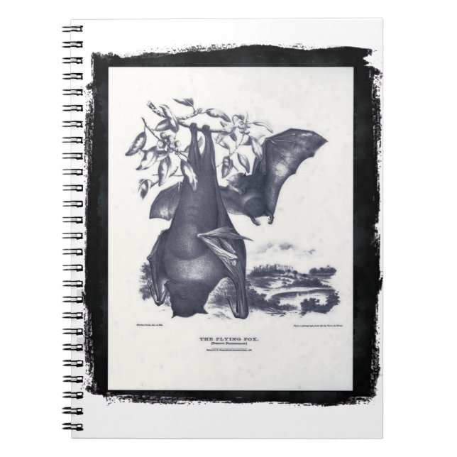 The Flying Fox Notebook (Front)