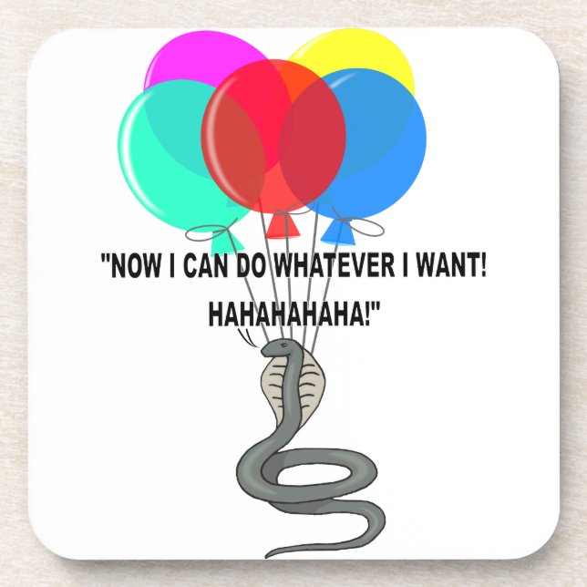 The Flying Snake Coaster (Front)