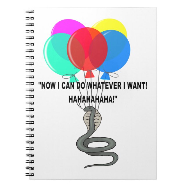 The Flying Snake Notebook (Front)