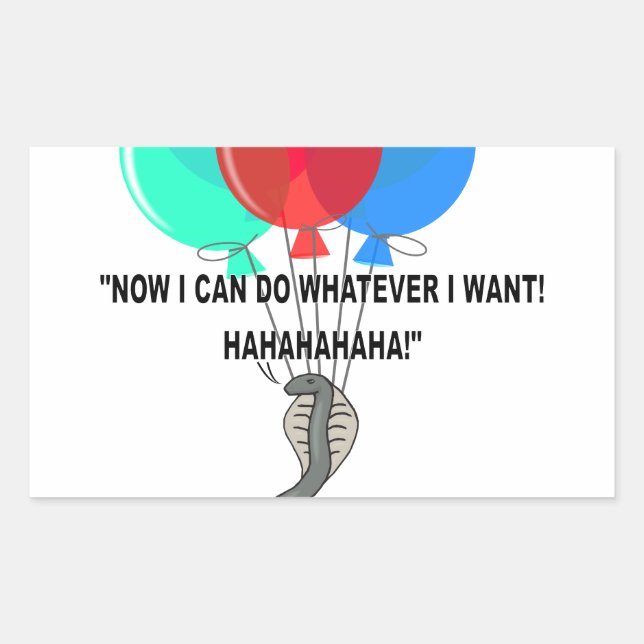 The Flying Snake Rectangular Sticker (Front)