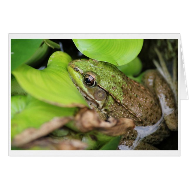 The Fog Pince - Pin (Front Horizontal)