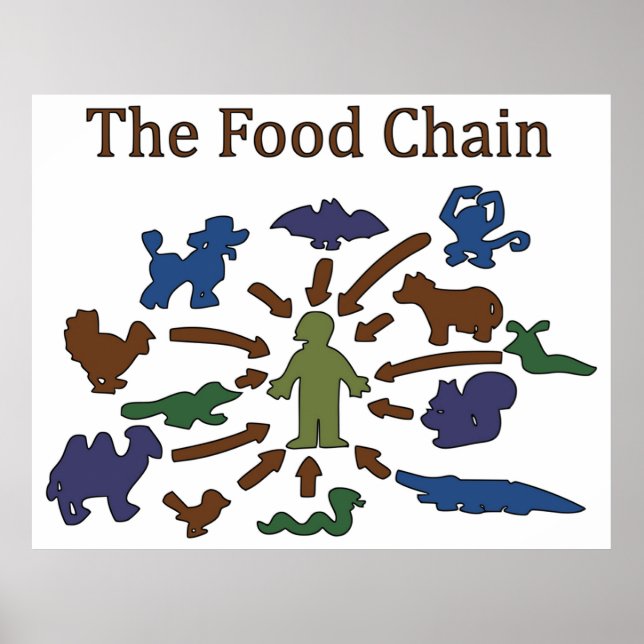 The Food Chain Poster (Front)