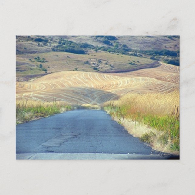 The Foothills of Steptoe Butte Postcard (Front)