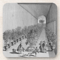 The forcing-house, from 'De Nederlandze Hesperides