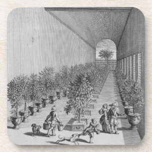 The forcing-house, from 'De Nederlandze Hesperides Coaster