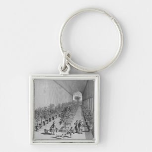 The forcing-house, from 'De Nederlandze Hesperides Key Ring
