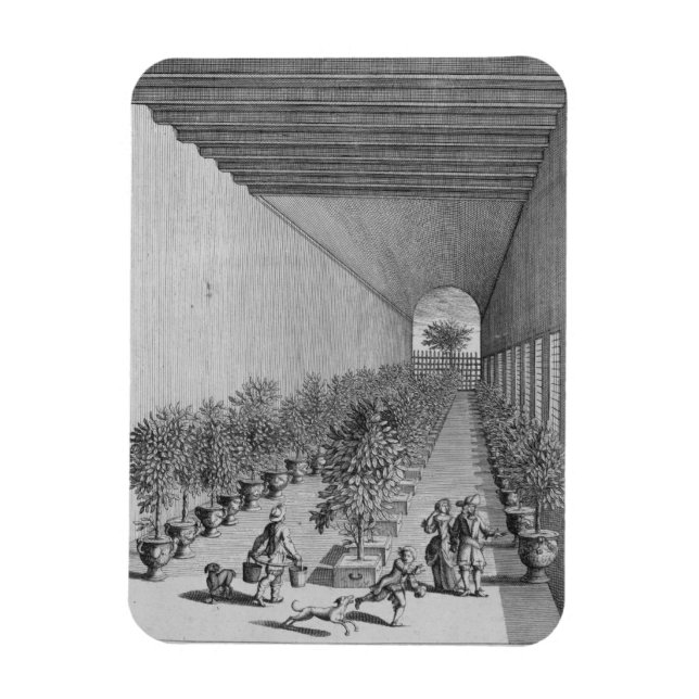 The forcing-house, from 'De Nederlandze Hesperides Magnet (Vertical)