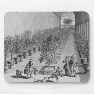 The forcing-house, from 'De Nederlandze Hesperides Mouse Pad