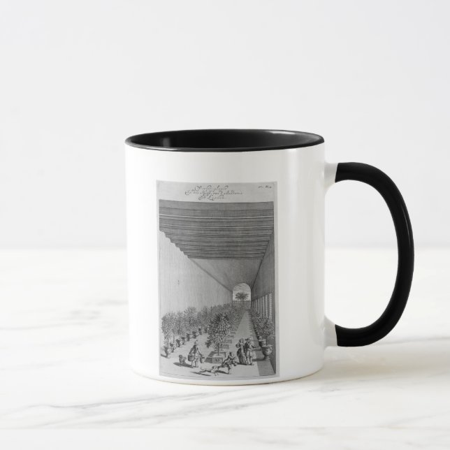 The forcing-house, from 'De Nederlandze Hesperides Mug (Right)