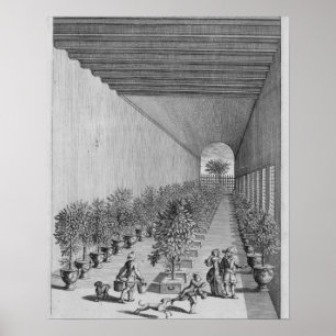 The forcing-house, from 'De Nederlandze Hesperides Poster