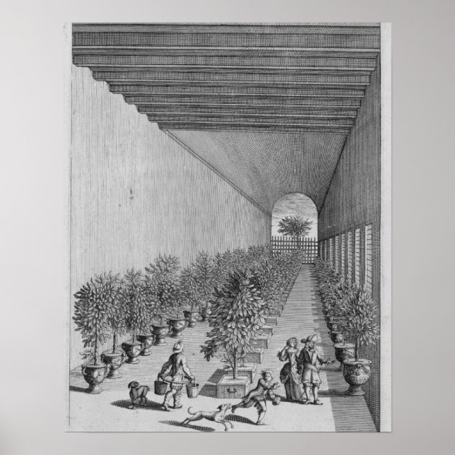 The forcing-house, from 'De Nederlandze Hesperides Poster (Front)