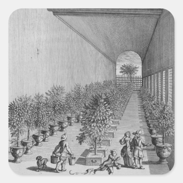 The forcing-house, from 'De Nederlandze Hesperides Square Sticker (Front)