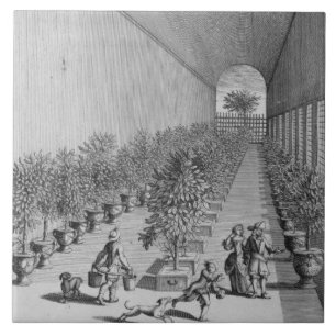 The forcing-house, from 'De Nederlandze Hesperides Tile