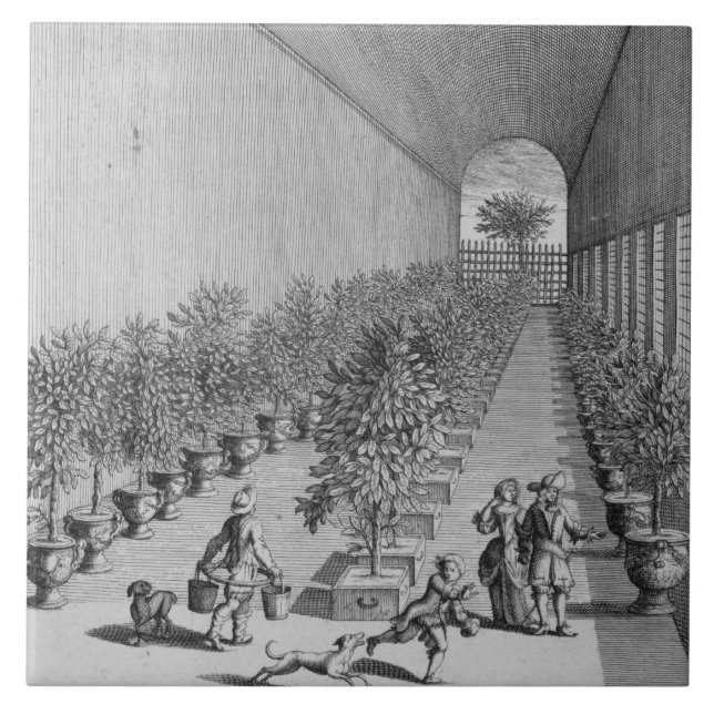 The forcing-house, from 'De Nederlandze Hesperides Tile (Front)