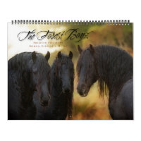 The Forest Boyz – Love strong