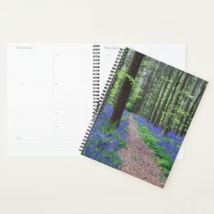 The Forest of Halle   Halle, Belgium Planner
