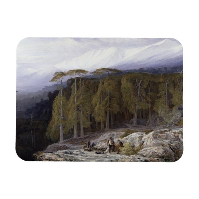 The Forest of Valdoniello, Corsica, 1869 (oil on c Magnet (Horizontal)