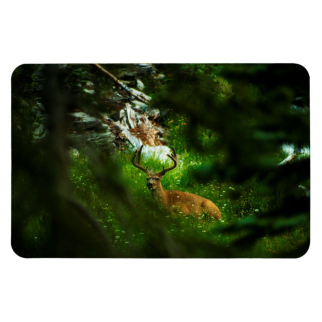 The Forest Prince Magnet (Horizontal)