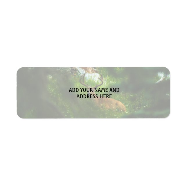The Forest Prince Return Address Label (Front)