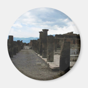 The FORUM OF POMPEII - Column fragments Magnet