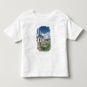 The Forum Toddler T-Shirt
