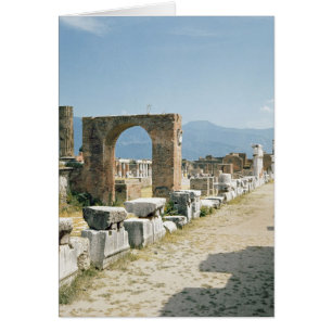 The Forum with the mountains in the background