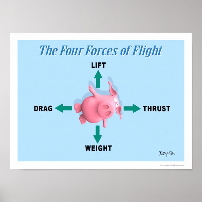 THE FOUR FORCES OF FLIGHT by Sandra Boynton Poster (Front)