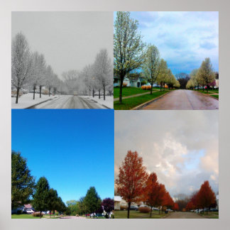 THE FOUR SEASONS POSTER
