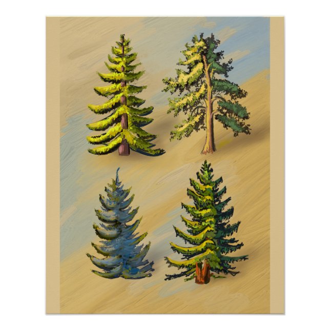 The four varieties of fir trees, botanical. poster (Front)