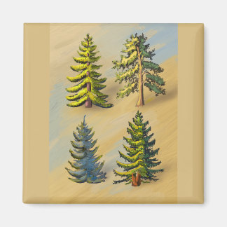 The four varieties of fir trees, botany. magnet
