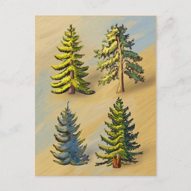 The four varieties of fir trees, botany. postcard (Front)