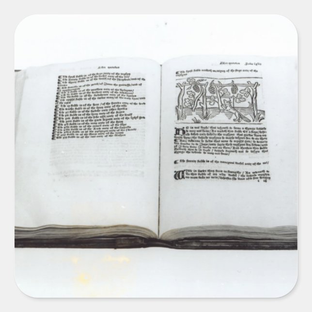 The Fox and the Grapes Square Sticker (Front)