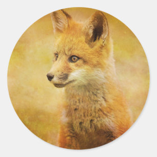 The Fox in the Wood Classic Round Sticker