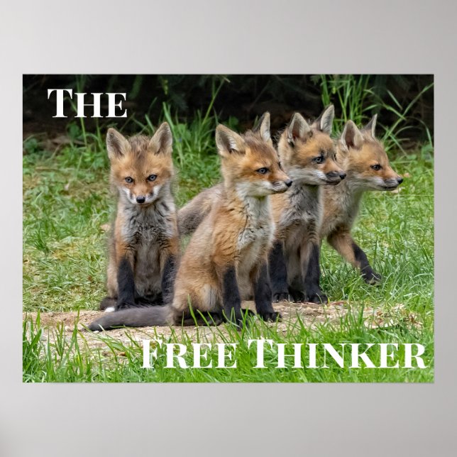 The Free Thinker Fox Poster (Front)