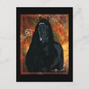 The Friesian - Postcard