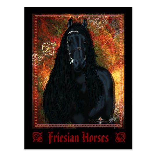 The Friesian - Postcard